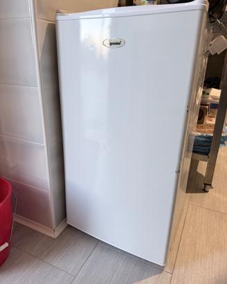 FRIGO BASSO