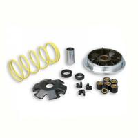 Variatore Malossi 5111154 per Piaggio 125 Habana M