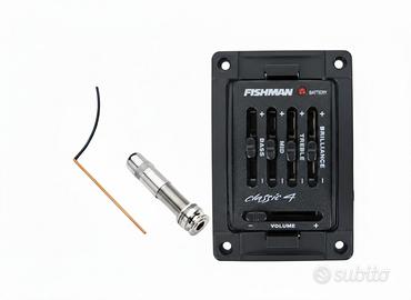 Fishman -  Amplificazione per Chitarra acustica 
