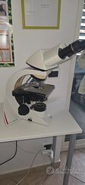 Microscopio LEICA professional DM1000 con 3obiett