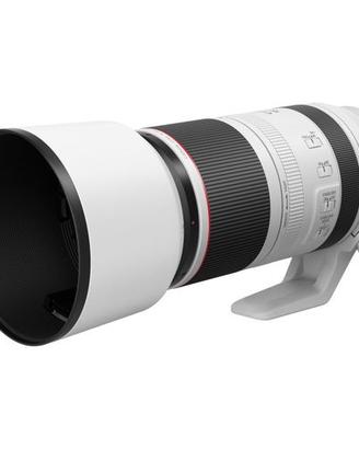 Canon RF 100-500 f/4,5-7,1 L IS USM