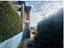 Immagine 7