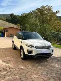 Range Rover Evoque 2.0 TD4 150 CV 5p. Pure