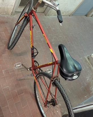 Bianchi originale