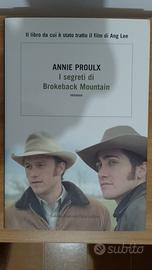 I segreti di Brokeback Mountain 
