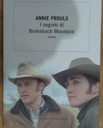 I segreti di Brokeback Mountain 