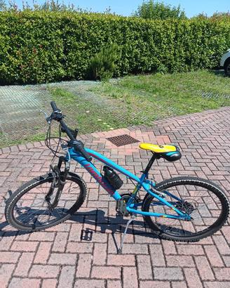Bici bambino/ragazzo 24”