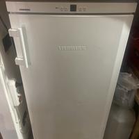 Freezer liebherr