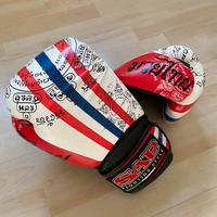 Guantoni boxe SAP