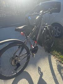Bicicletta Elettrica