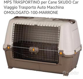 Trasportino