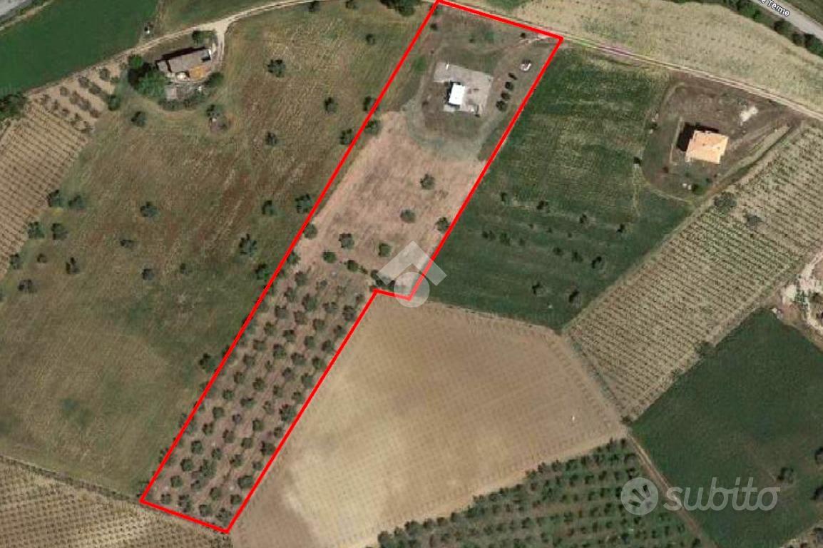 TER. AGRICOLO A CITTÀ SANT'ANGELO - Vista 2