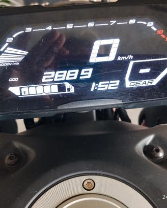 motori