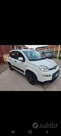 fiat panda hybrid
