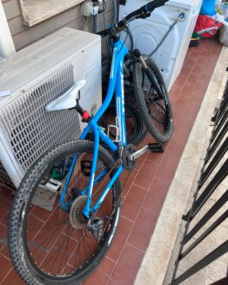 Bicicletta trek