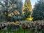 Immagine 24