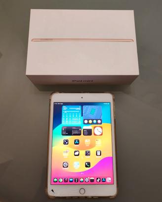 Apple iPad mini 5 generazione