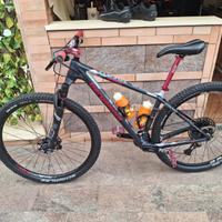 Mtb bergamont revox