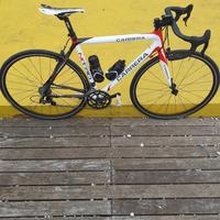 CARRERA bici da corsa CARBONIO 