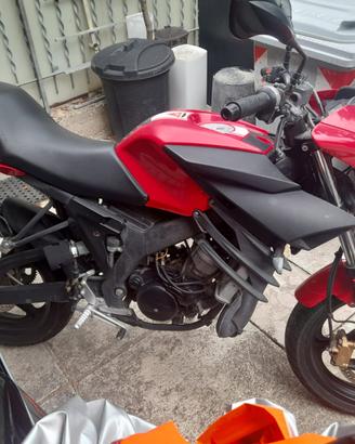 Drakon 50cc versione "Ducati" del 2013