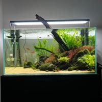Acquario ADA90P