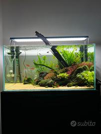 Acquario ADA90P