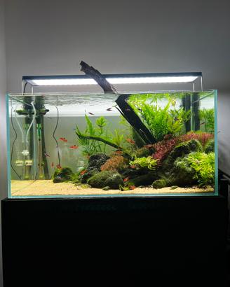 Acquario ADA90P
