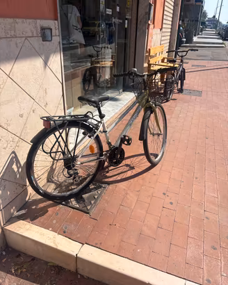 Bici 26