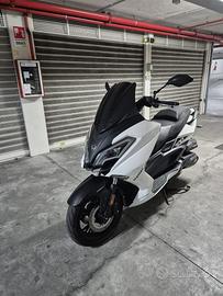 Wottam storm 300 con un anno di assicurazione