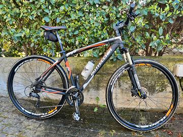 MTB Bottecchia FX125 ruote 29”