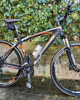 MTB Bottecchia FX125 ruote 29”