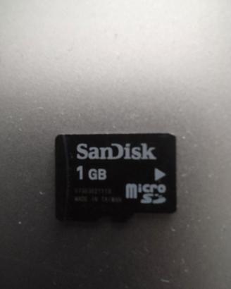 Memoria MICRO SD SanDisk 1GB Trans Flash NO HC