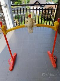gioco del limbo "balla gallo"