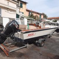 boston  whaler  varie misure