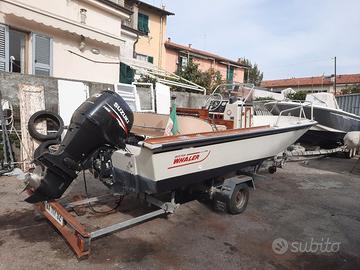 boston  whaler  varie misure