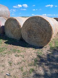 Balloni di erba medica