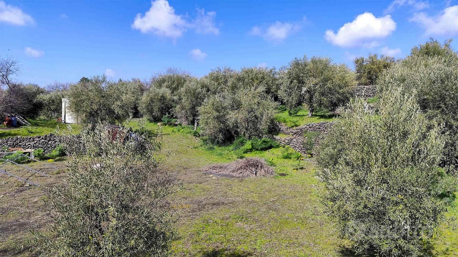 Rif.FP8| terreno agricolo belpasso - More