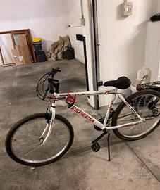 Bici esperia