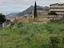 Immagine 6