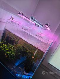 Acquario Sera 64L completo di tutto anche dimmer
