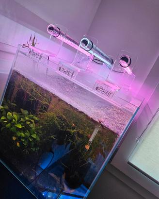 Acquario Sera 64L completo di tutto anche dimmer