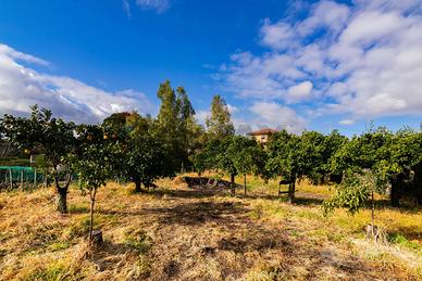 Terreno Edificabile - Viagrande