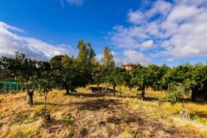 Terreno Edificabile - Viagrande