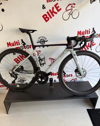 FOCUS IZALCO MAX