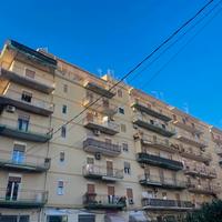 Via tisia luminoso esavani e servizi