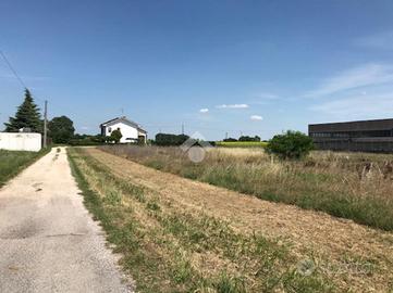 TERRENO A ISOLA DELLA SCALA