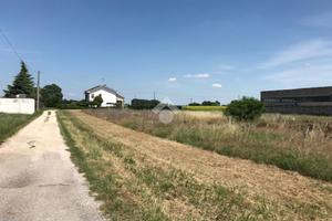 TERRENO A ISOLA DELLA SCALA