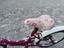 Immagine 6