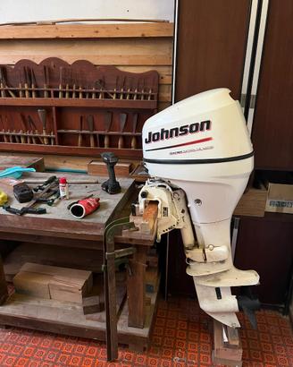 Motore fuoribordo Johnson Suzuki V-Twins