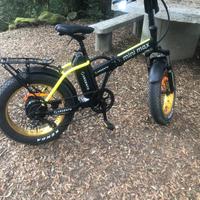 Ebike